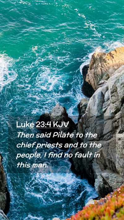 Picture 02 - Luke 23:4 KJV Mobile Phone Wallpaper - Then said Pilate to the chief priests and to the - Mobile Bible Verse Wallpaper