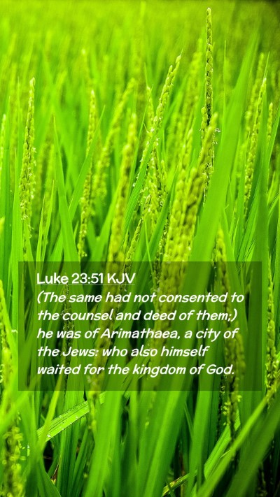 Picture 02 - Luke 23:51 KJV Mobile Phone Wallpaper - (The same had not consented to the counsel and - Mobile Bible Verse Wallpaper