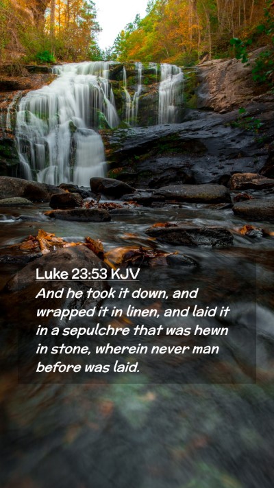 Picture 02 - Luke 23:53 KJV Mobile Phone Wallpaper - And he took it down, and wrapped it in linen, and - Mobile Bible Verse Wallpaper