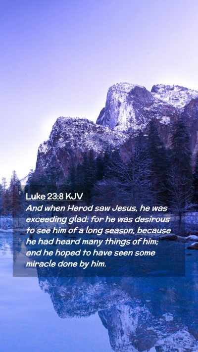 Picture 02 - Luke 23:8 KJV Mobile Phone Wallpaper - And when Herod saw Jesus, he was exceeding glad: - Mobile Bible Verse Wallpaper
