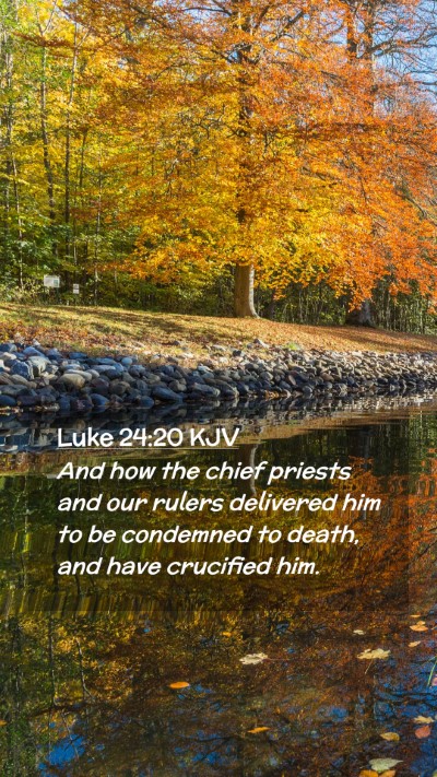 Picture 02 - Luke 24:20 KJV Mobile Phone Wallpaper - And how the chief priests and our rulers - Mobile Bible Verse Wallpaper
