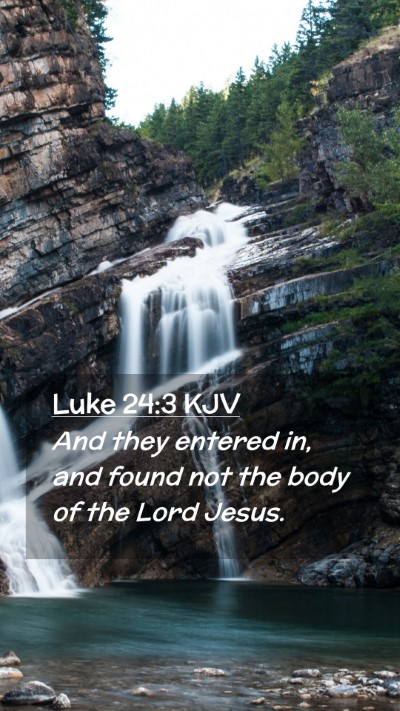 Picture 02 - Luke 24:3 KJV Mobile Phone Wallpaper - And they entered in, and found not the body of - Mobile Bible Verse Wallpaper