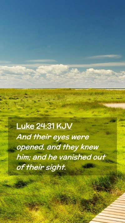 Picture 02 - Luke 24:31 KJV Mobile Phone Wallpaper - And their eyes were opened, and they knew him; - Mobile Bible Verse Wallpaper