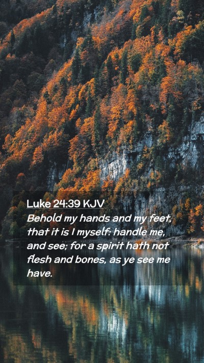 Picture 02 - Luke 24:39 KJV Mobile Phone Wallpaper - Behold my hands and my feet, that it is I myself: - Mobile Bible Verse Wallpaper