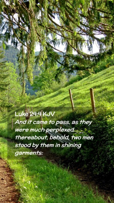 Picture 02 - Luke 24:4 KJV Mobile Phone Wallpaper - And it came to pass, as they were much perplexed - Mobile Bible Verse Wallpaper