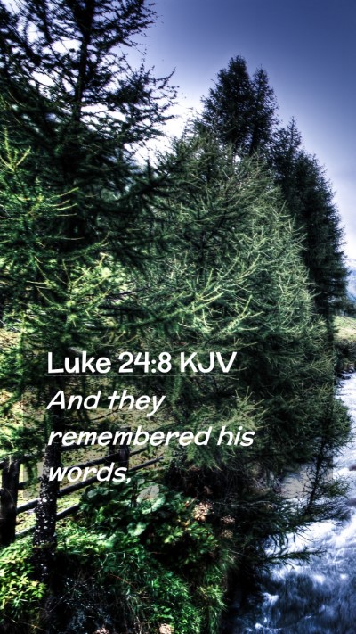Picture 02 - Luke 24:8 KJV Mobile Phone Wallpaper - And they remembered his - Mobile Bible Verse Wallpaper