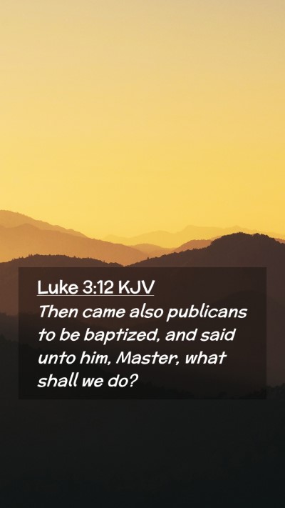 Picture 02 - Luke 3:12 KJV Mobile Phone Wallpaper - Then came also publicans to be baptized, and said - Mobile Bible Verse Wallpaper