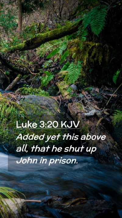 Picture 02 - Luke 3:20 KJV Mobile Phone Wallpaper - Added yet this above all, that he shut up John in - Mobile Bible Verse Wallpaper