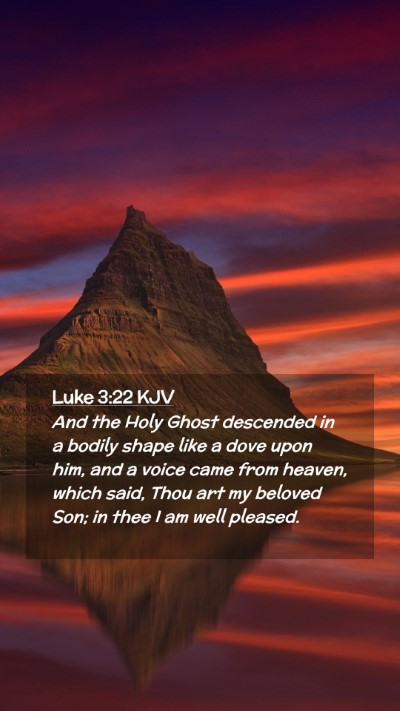 Picture 02 - Luke 3:22 KJV Mobile Phone Wallpaper - And the Holy Ghost descended in a bodily shape - Mobile Bible Verse Wallpaper