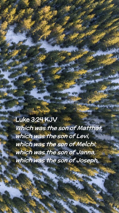 Picture 02 - Luke 3:24 KJV Mobile Phone Wallpaper - Which was the son of Matthat, which was the son - Mobile Bible Verse Wallpaper