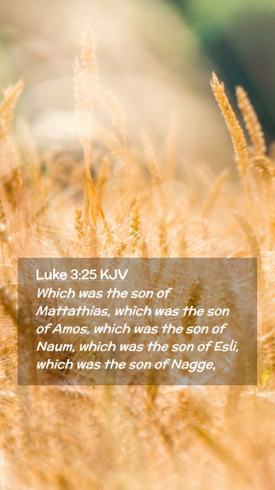 Picture 02 - Luke 3:25 KJV Mobile Phone Wallpaper - Which was the son of Mattathias, which was the - Mobile Bible Verse Wallpaper