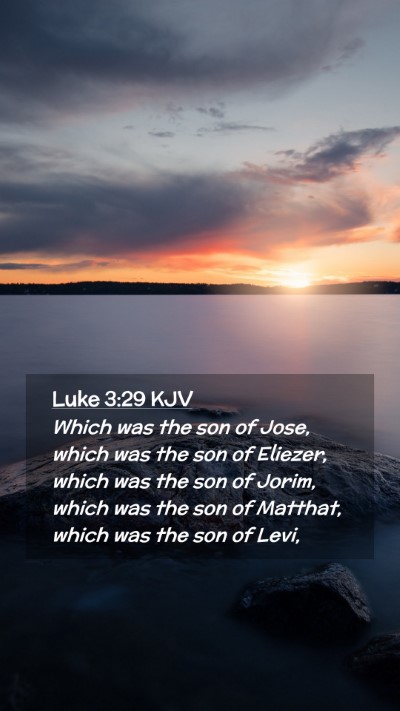 Picture 02 - Luke 3:29 KJV Mobile Phone Wallpaper - Which was the son of Jose, which was the son of - Mobile Bible Verse Wallpaper