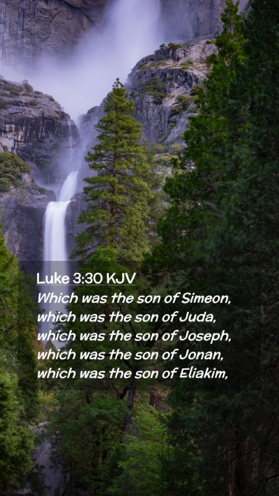 Picture 02 - Luke 3:30 KJV Mobile Phone Wallpaper - Which was the son of Simeon, which was the son of - Mobile Bible Verse Wallpaper