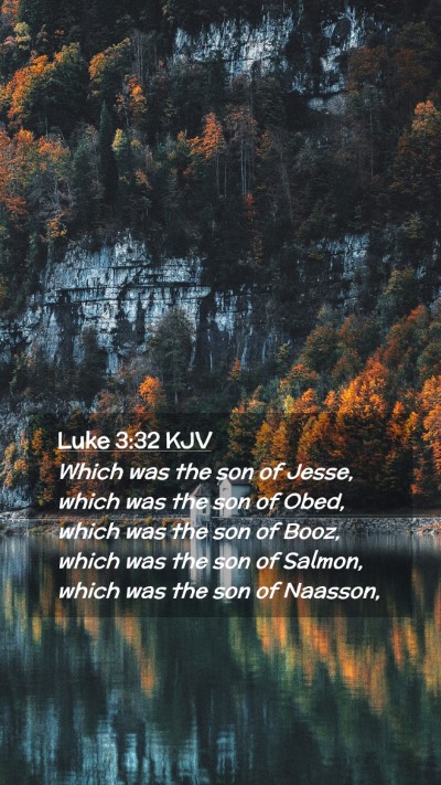 Picture 02 - Luke 3:32 KJV Mobile Phone Wallpaper - Which was the son of Jesse, which was the son of - Mobile Bible Verse Wallpaper