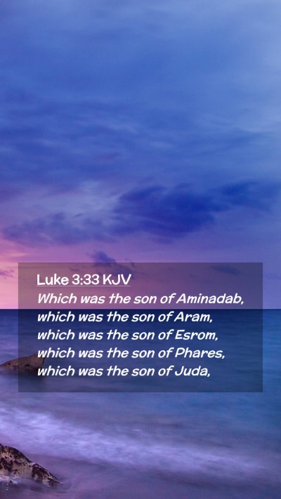 Picture 02 - Luke 3:33 KJV Mobile Phone Wallpaper - Which was the son of Aminadab, which was the son - Mobile Bible Verse Wallpaper