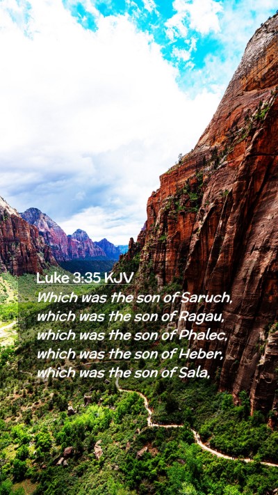 Picture 02 - Luke 3:35 KJV Mobile Phone Wallpaper - Which was the son of Saruch, which was the son of - Mobile Bible Verse Wallpaper