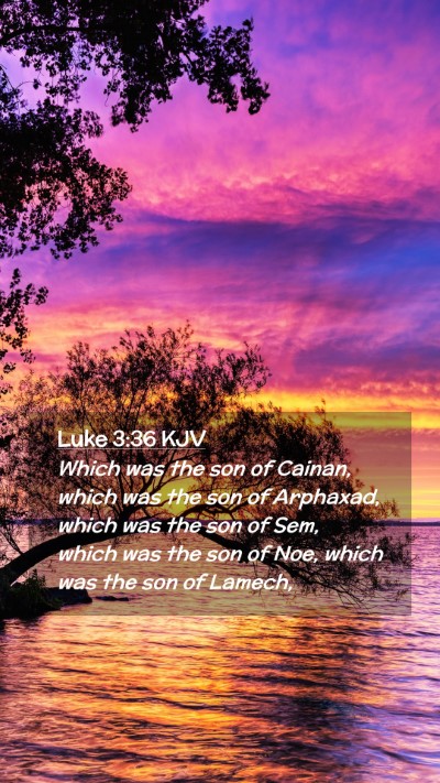 Picture 02 - Luke 3:36 KJV Mobile Phone Wallpaper - Which was the son of Cainan, which was the son of - Mobile Bible Verse Wallpaper