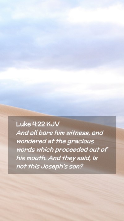 Picture 02 - Luke 4:22 KJV Mobile Phone Wallpaper - And all bare him witness, and wondered at the - Mobile Bible Verse Wallpaper