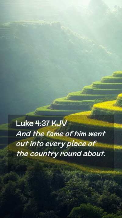 Picture 02 - Luke 4:37 KJV Mobile Phone Wallpaper - And the fame of him went out into every place of - Mobile Bible Verse Wallpaper