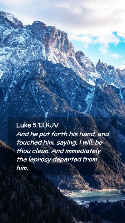 Picture 02 - Luke 5:13 KJV Mobile Phone Wallpaper - And he put forth his hand, and touched him, - Mobile Bible Verse Wallpaper