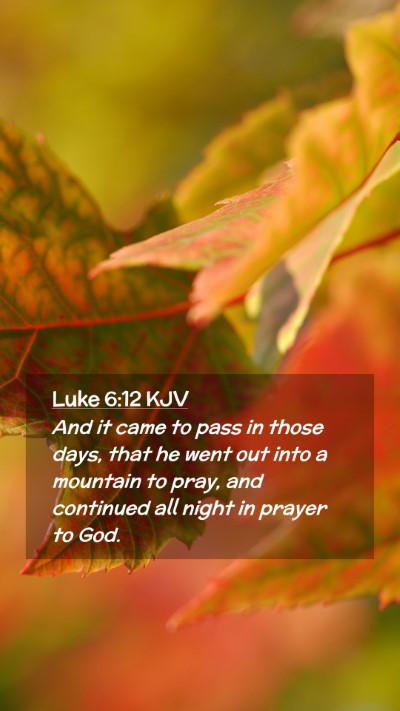 Picture 02 - Luke 6:12 KJV Mobile Phone Wallpaper - And it came to pass in those days, that he went - Mobile Bible Verse Wallpaper