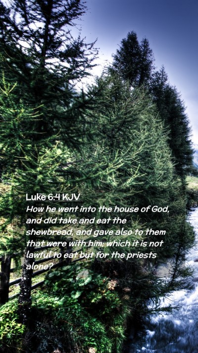 Picture 02 - Luke 6:4 KJV Mobile Phone Wallpaper - How he went into the house of God, and did take - Mobile Bible Verse Wallpaper
