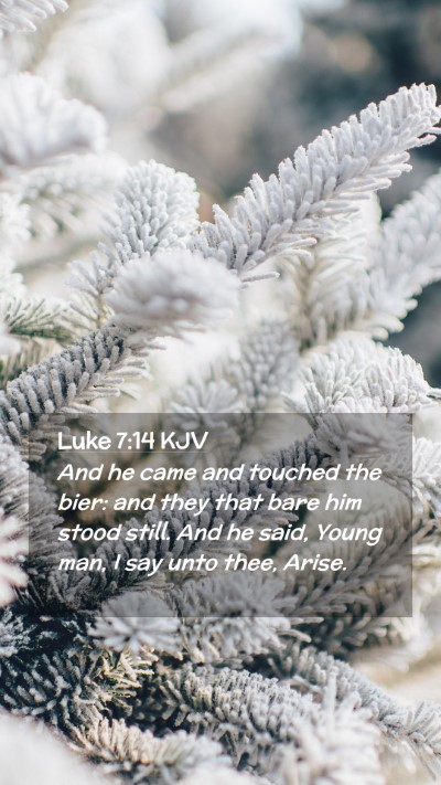 Picture 02 - Luke 7:14 KJV Mobile Phone Wallpaper - And he came and touched the bier: and they that - Mobile Bible Verse Wallpaper