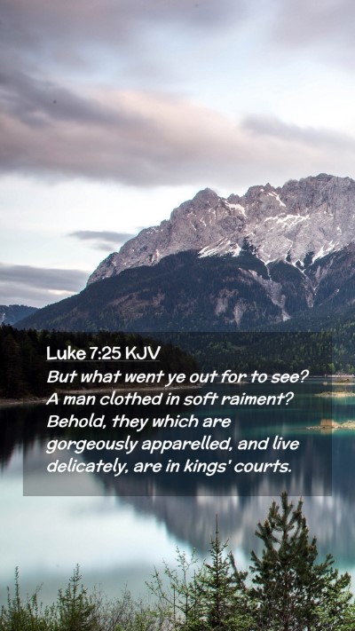 Picture 02 - Luke 7:25 KJV Mobile Phone Wallpaper - But what went ye out for to see? A man clothed in - Mobile Bible Verse Wallpaper