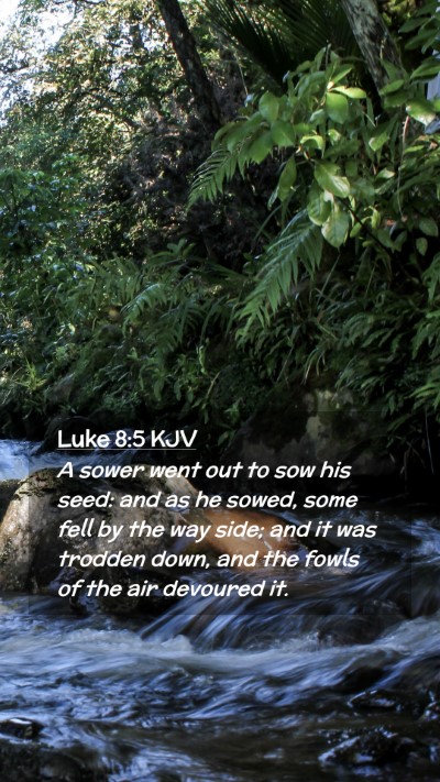 Picture 02 - Luke 8:5 KJV Mobile Phone Wallpaper - A sower went out to sow his seed: and as he - Mobile Bible Verse Wallpaper