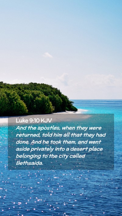 Picture 02 - Luke 9:10 KJV Mobile Phone Wallpaper - And the apostles, when they were returned, told - Mobile Bible Verse Wallpaper