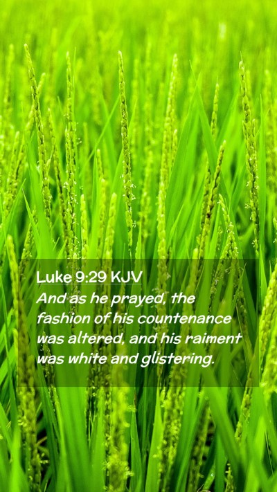 Picture 02 - Luke 9:29 KJV Mobile Phone Wallpaper - And as he prayed, the fashion of his countenance - Mobile Bible Verse Wallpaper