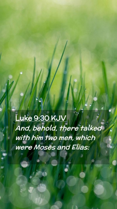 Picture 02 - Luke 9:30 KJV Mobile Phone Wallpaper - And, behold, there talked with him two men, which - Mobile Bible Verse Wallpaper
