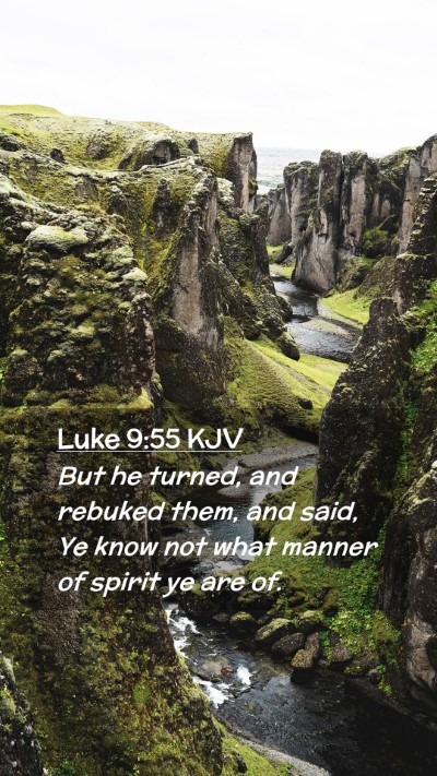 Picture 02 - Luke 9:55 KJV Mobile Phone Wallpaper - But he turned, and rebuked them, and said, Ye - Mobile Bible Verse Wallpaper