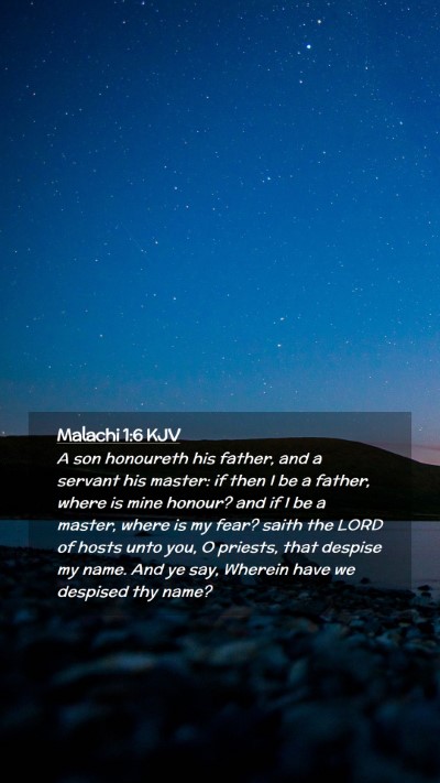 Picture 02 - Malachi 1:6 KJV Mobile Phone Wallpaper - A son honoureth his father, and a servant his - Mobile Bible Verse Wallpaper