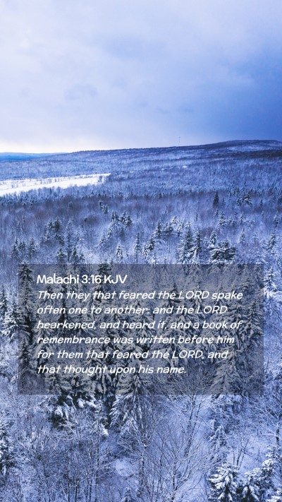 Picture 02 - Malachi 3:16 KJV Mobile Phone Wallpaper - Then they that feared the LORD spake often one to - Mobile Bible Verse Wallpaper