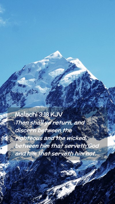 Picture 02 - Malachi 3:18 KJV Mobile Phone Wallpaper - Then shall ye return, and discern between the - Mobile Bible Verse Wallpaper