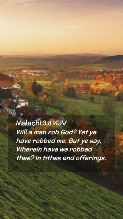 Picture 02 - Malachi 3:8 KJV Mobile Phone Wallpaper - Will a man rob God? Yet ye have robbed me. But ye - Mobile Bible Verse Wallpaper