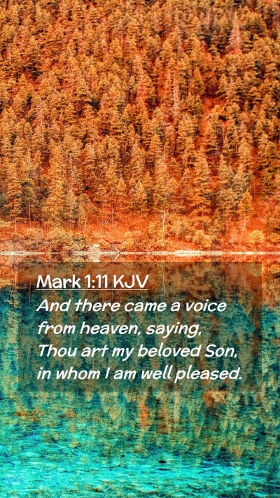 Picture 02 - Mark 1:11 KJV Mobile Phone Wallpaper - And there came a voice from heaven, saying, Thou - Mobile Bible Verse Wallpaper