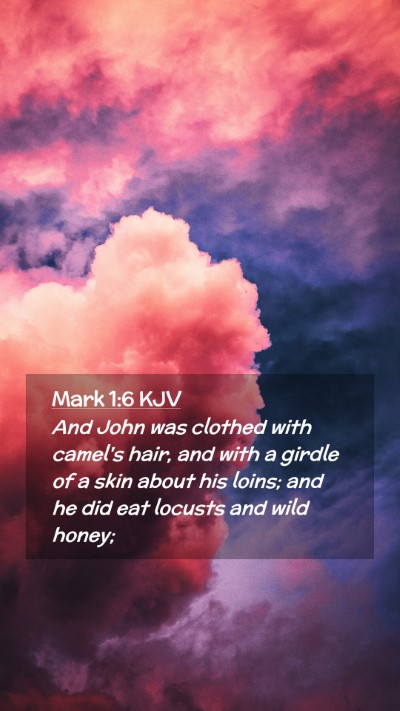 Picture 02 - Mark 1:6 KJV Mobile Phone Wallpaper - And John was clothed with camel's hair, and with - Mobile Bible Verse Wallpaper