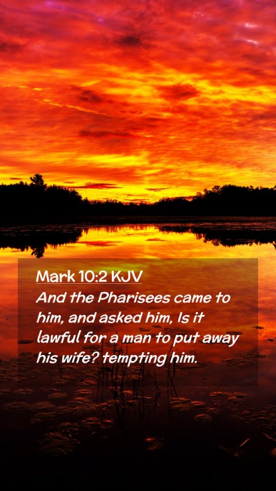 Picture 02 - Mark 10:2 KJV Mobile Phone Wallpaper - And the Pharisees came to him, and asked him, Is - Mobile Bible Verse Wallpaper