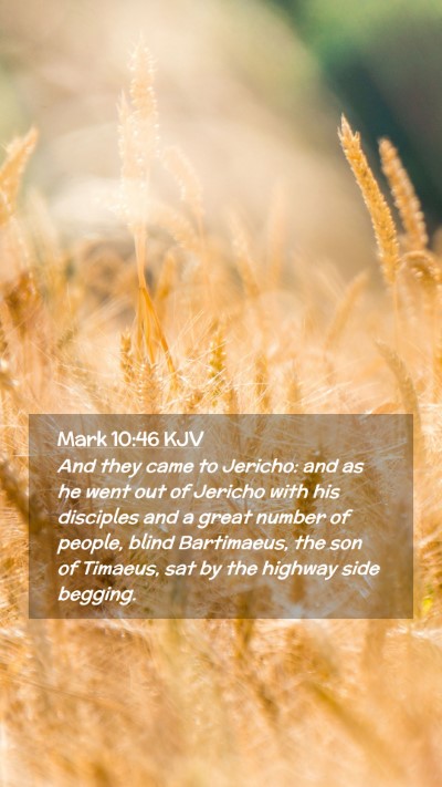 Picture 02 - Mark 10:46 KJV Mobile Phone Wallpaper - And they came to Jericho: and as he went out of - Mobile Bible Verse Wallpaper