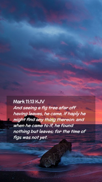 Picture 02 - Mark 11:13 KJV Mobile Phone Wallpaper - And seeing a fig tree afar off having leaves, he - Mobile Bible Verse Wallpaper
