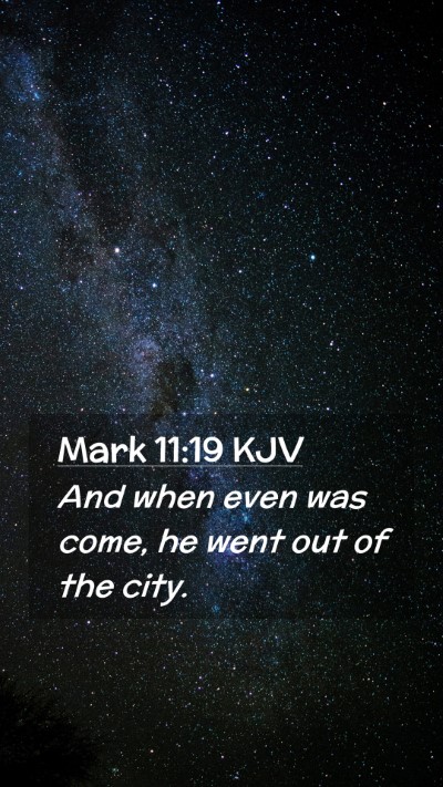 Picture 02 - Mark 11:19 KJV Mobile Phone Wallpaper - And when even was come, he went out of the - Mobile Bible Verse Wallpaper
