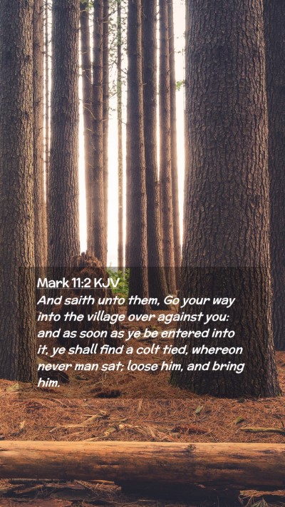 Picture 02 - Mark 11:2 KJV Mobile Phone Wallpaper - And saith unto them, Go your way into the village - Mobile Bible Verse Wallpaper