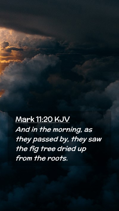 Picture 02 - Mark 11:20 KJV Mobile Phone Wallpaper - And in the morning, as they passed by, they saw - Mobile Bible Verse Wallpaper