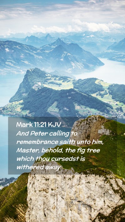 Picture 02 - Mark 11:21 KJV Mobile Phone Wallpaper - And Peter calling to remembrance saith unto him, - Mobile Bible Verse Wallpaper