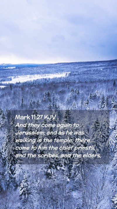 Picture 02 - Mark 11:27 KJV Mobile Phone Wallpaper - And they come again to Jerusalem: and as he was - Mobile Bible Verse Wallpaper