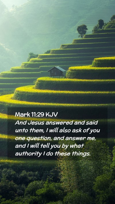 Picture 02 - Mark 11:29 KJV Mobile Phone Wallpaper - And Jesus answered and said unto them, I will - Mobile Bible Verse Wallpaper