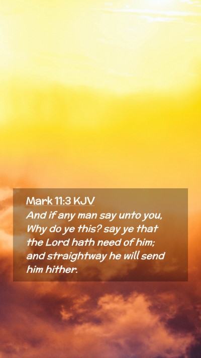 Picture 02 - Mark 11:3 KJV Mobile Phone Wallpaper - And if any man say unto you, Why do ye this? say - Mobile Bible Verse Wallpaper