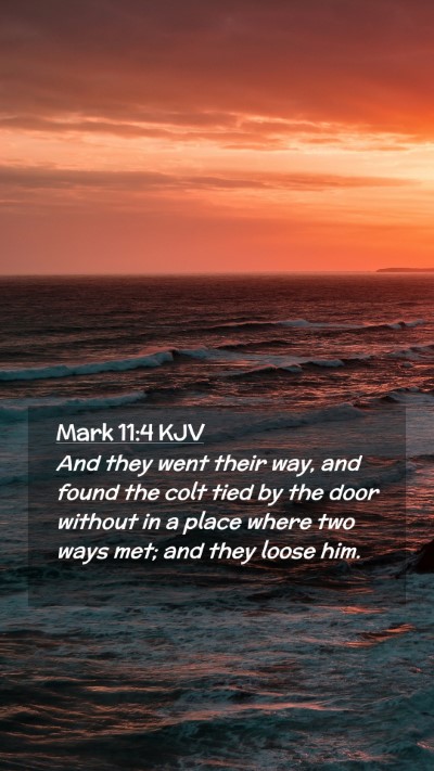 Picture 02 - Mark 11:4 KJV Mobile Phone Wallpaper - And they went their way, and found the colt tied - Mobile Bible Verse Wallpaper